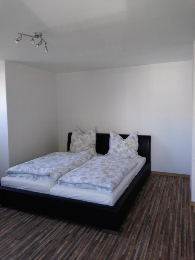 Fewo Am Wilden Mann Apartament Drezno Zewnętrze zdjęcie