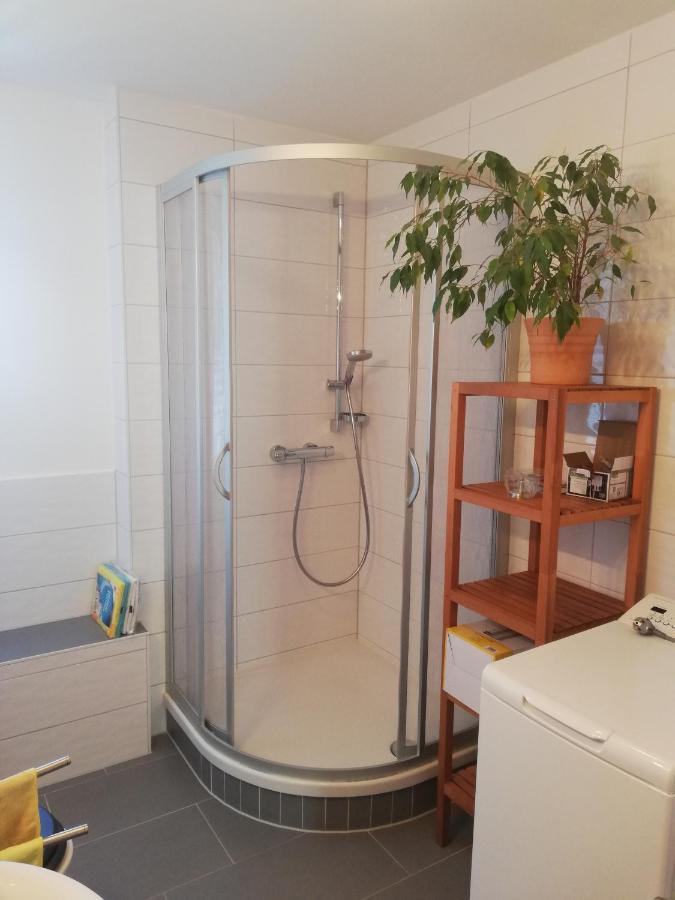 Fewo Am Wilden Mann Apartament Drezno Zewnętrze zdjęcie