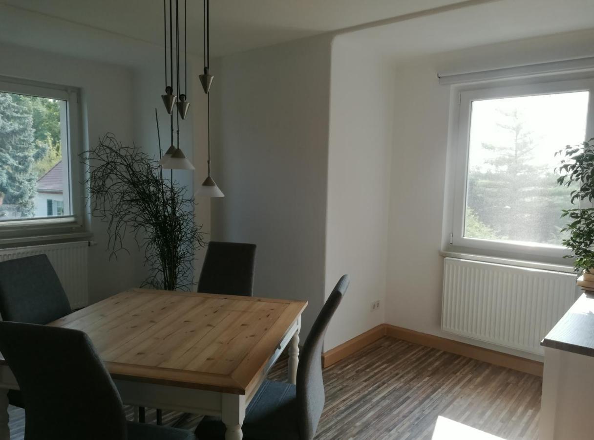 Fewo Am Wilden Mann Apartament Drezno Zewnętrze zdjęcie